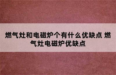 燃气灶和电磁炉个有什么优缺点 燃气灶电磁炉优缺点